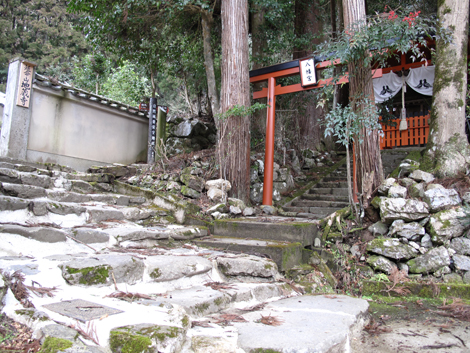 20140211hike (11)